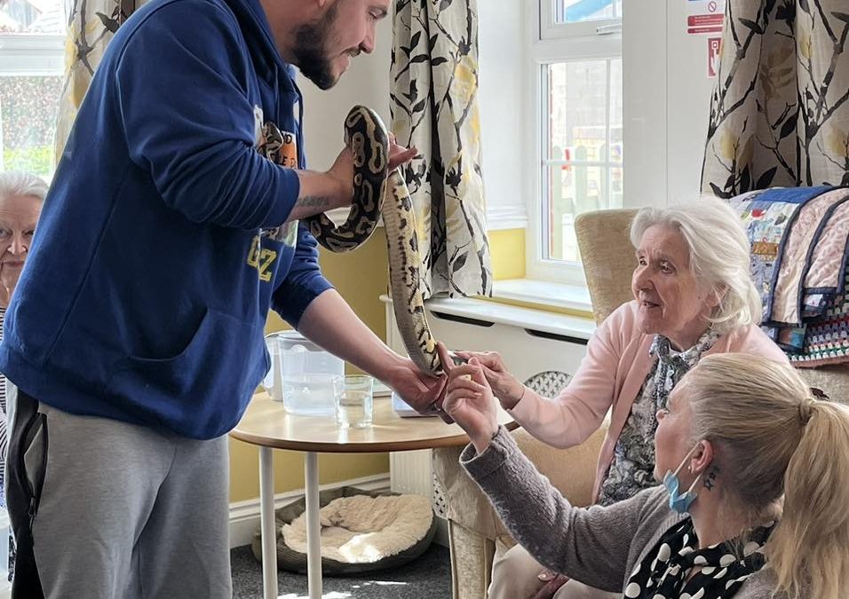 Snakes in A Care Home?!