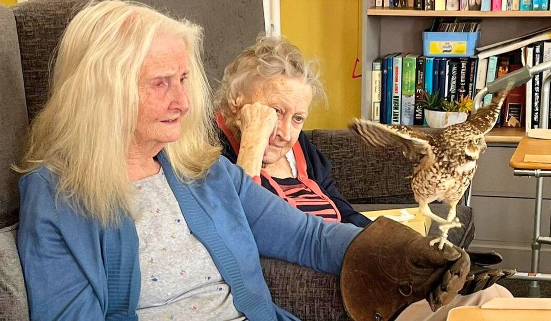 Birds of Prey visit Evesham Care Home