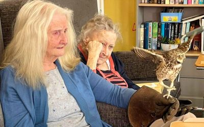 Activities Blog 2 Walk with Hawks at Cedar Lodge Care Home Evesham